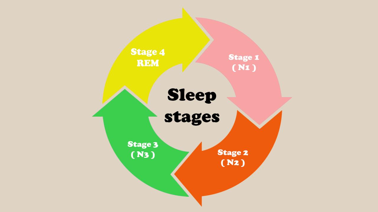 How Sleep Deprivation Destroys Your Immune System